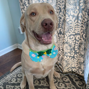 Meet your Posher, Erika